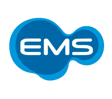 Ems-sem-fundo-logo